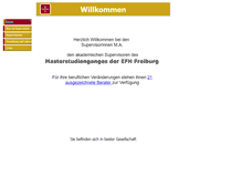 Tablet Screenshot of master-supervision.de